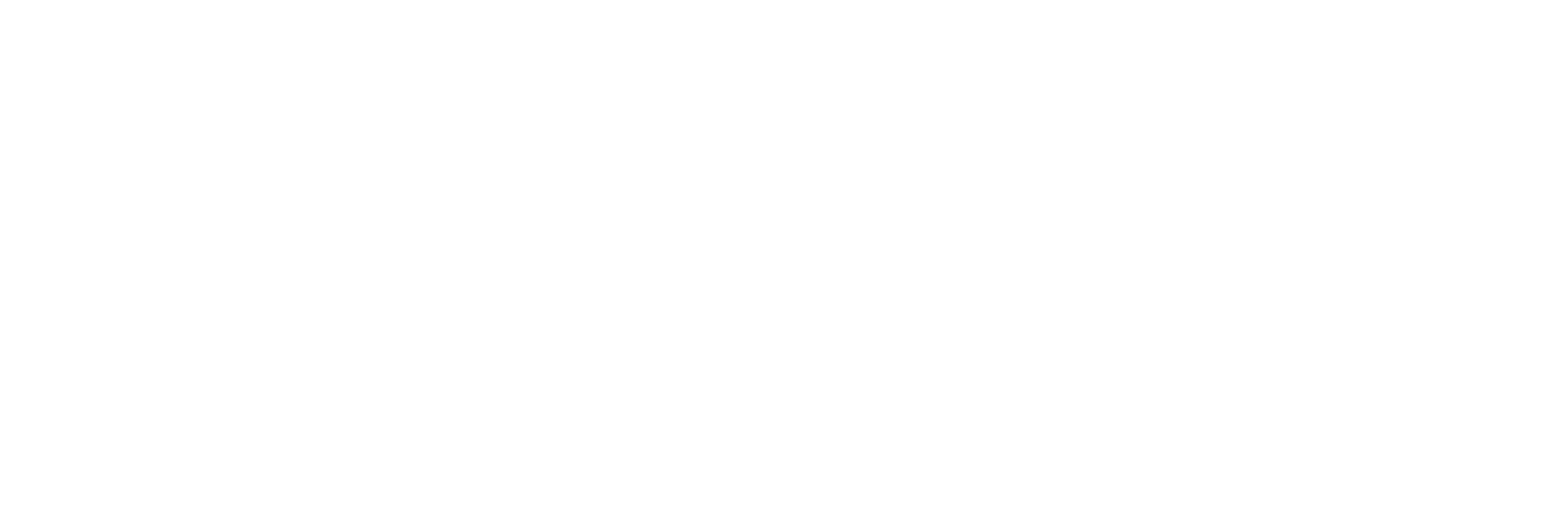 RIK